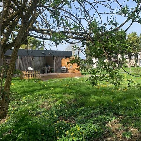 L'Endroit : Studio De Jardin Adapte Pmr 40M2 Aigrefeuille-dʼAunis Eksteriør billede